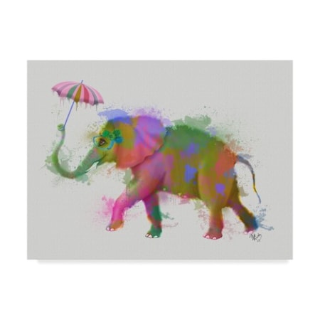 Fab Funky 'Rainbow Splash Elephant' Canvas Art,24x32